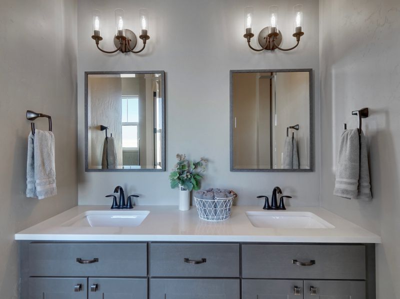 Modern Vanity and Sinks